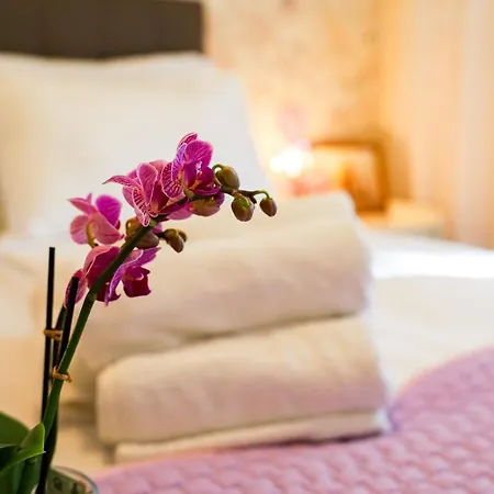 Zadar Franov On Island Ugljan With The Pool, Bbq And Beautiful Sea-view! Appartement Kali