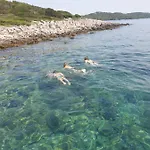 Zadar Franov On Island Ugljan With The Pool, Bbq And Beautiful Sea-view! Lägenhet