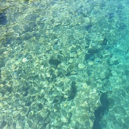 Zadar Franov On Island Ugljan With The Pool, Bbq And Beautiful Sea-view! * Kali