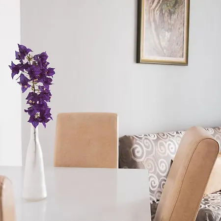 Zadar Franov On Island Ugljan With The Pool, Bbq And Beautiful Sea-view!