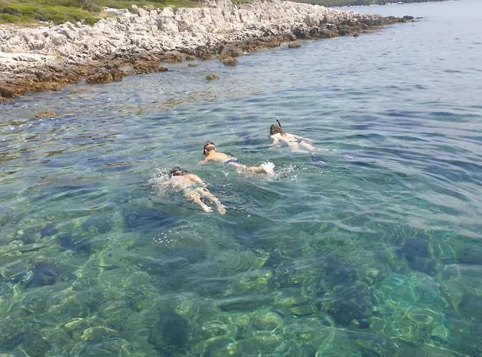 Zadar Franov On Island Ugljan With The Pool, Bbq And Beautiful Sea-view! Διαμέρισμα