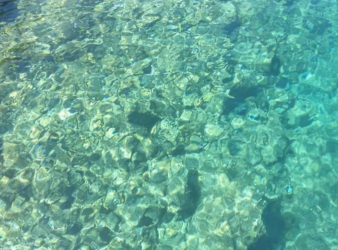 Zadar Franov On Island Ugljan With The Pool, Bbq And Beautiful Sea-view! * 칼리